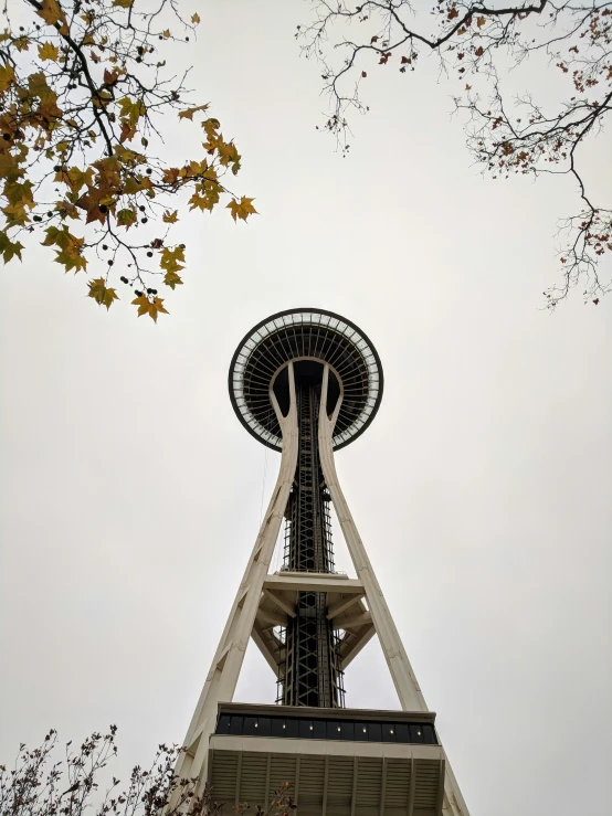 the space needle in seattle is a wonder tower