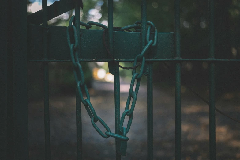 a closeup of a gate with a chain that is fastened around it