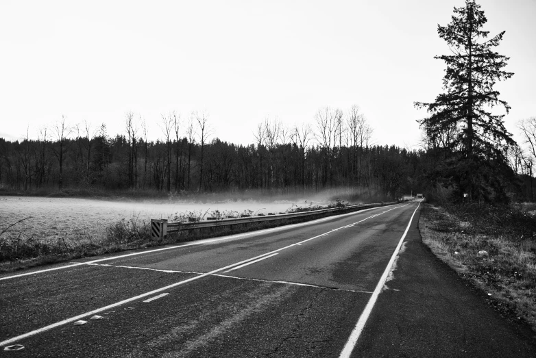 a black and white po of a road next to trees