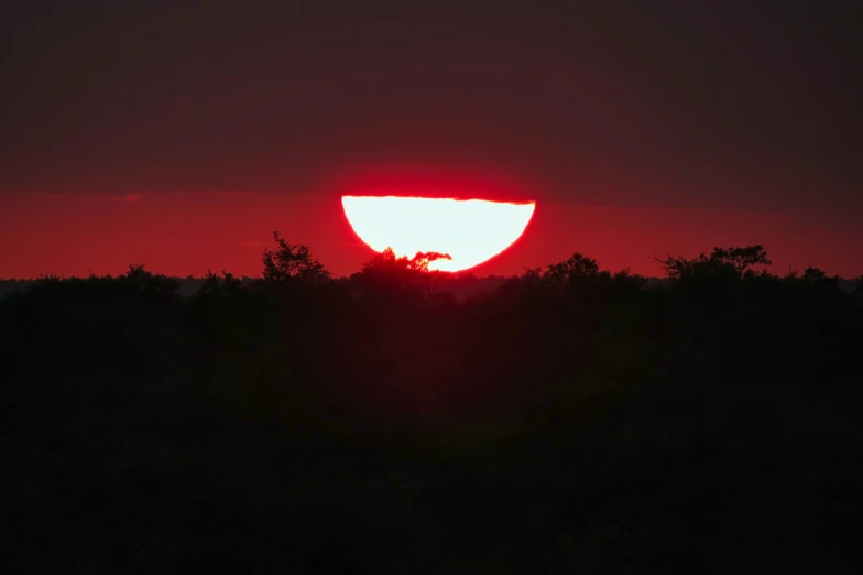 sun sets over the forest as seen from a hill