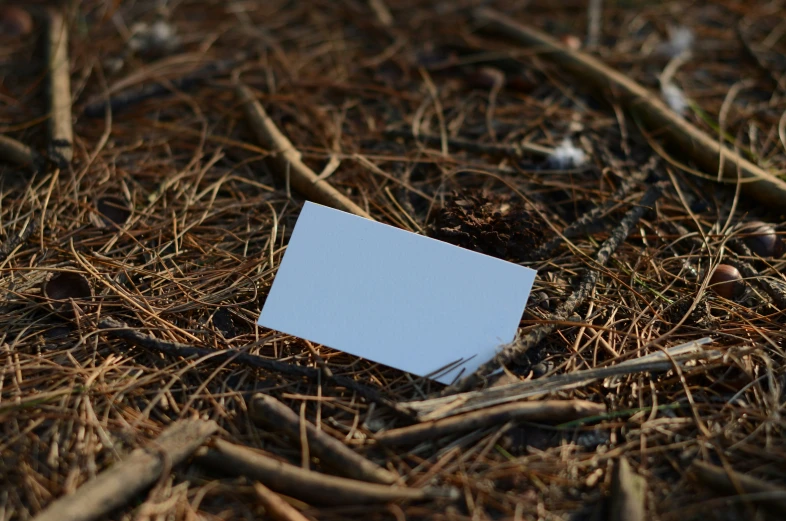 an image of square note taped on dry ground