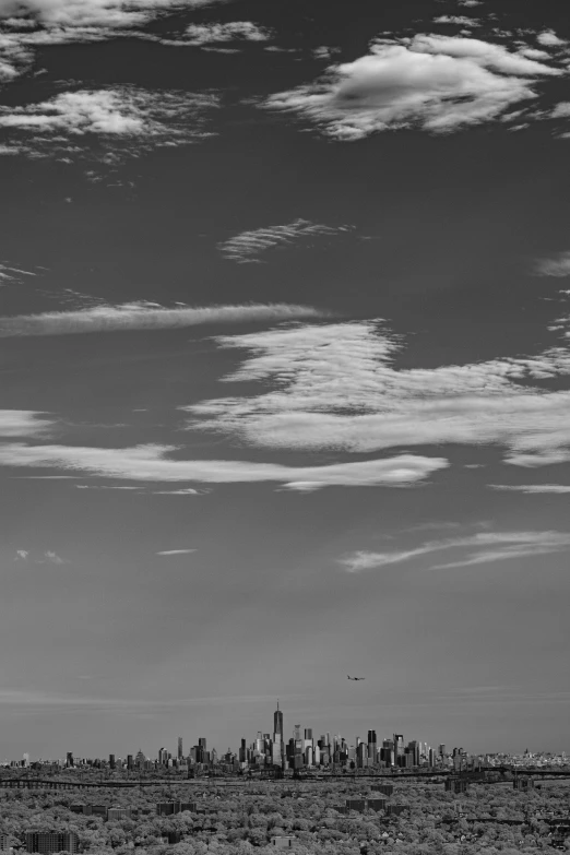 a black and white po of the city as seen from the hills above