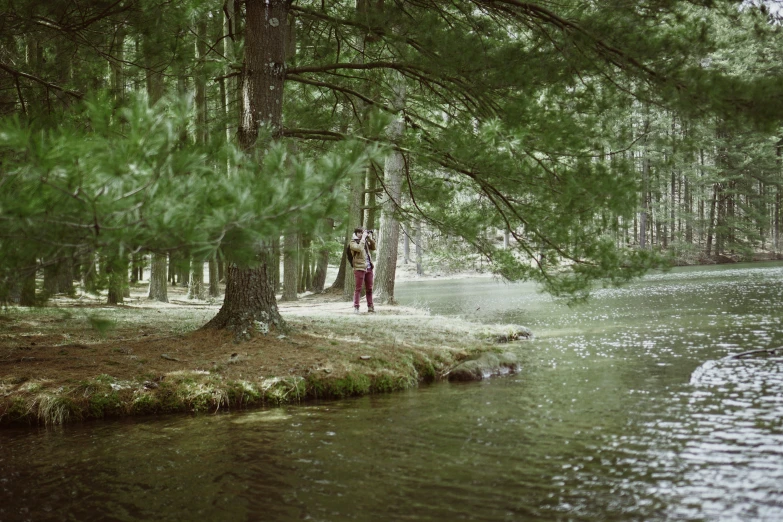 a creek in the forest that is very calm