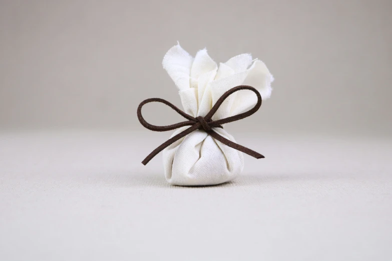 a white bag with brown ribbon on it