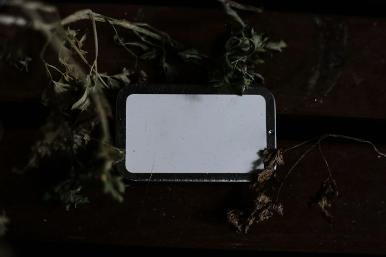 the bottom of a flowerpot with some flowers and the bottom of a square shaped object