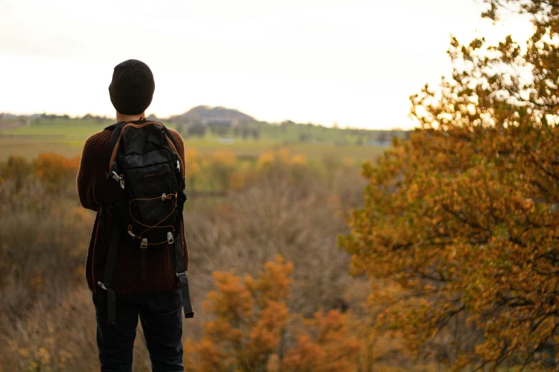 the person in the backpack is looking out at the forest