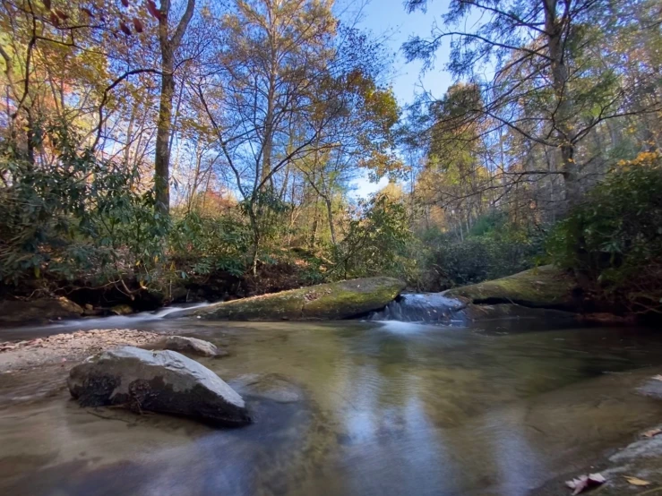 a small waterfall flows through a forested area