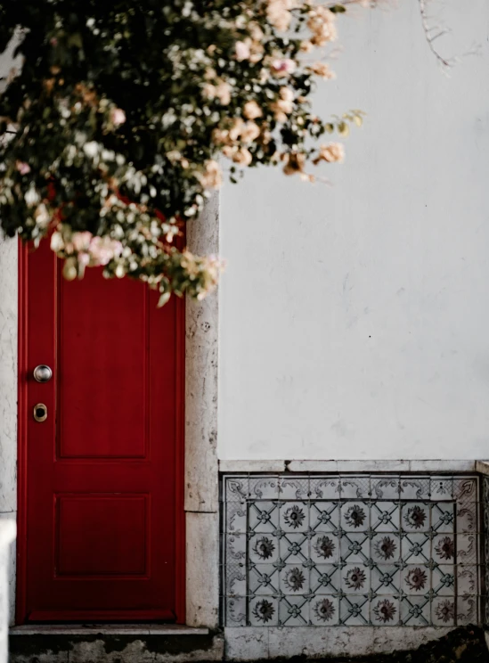 red door, tile door and window sill with potted plants in front