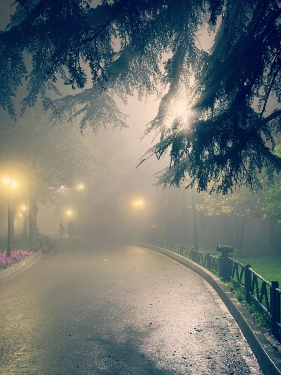 a foggy street has several street lamps in the distance