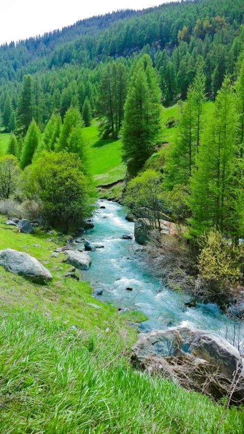 green hills with trees and a river in the foreground