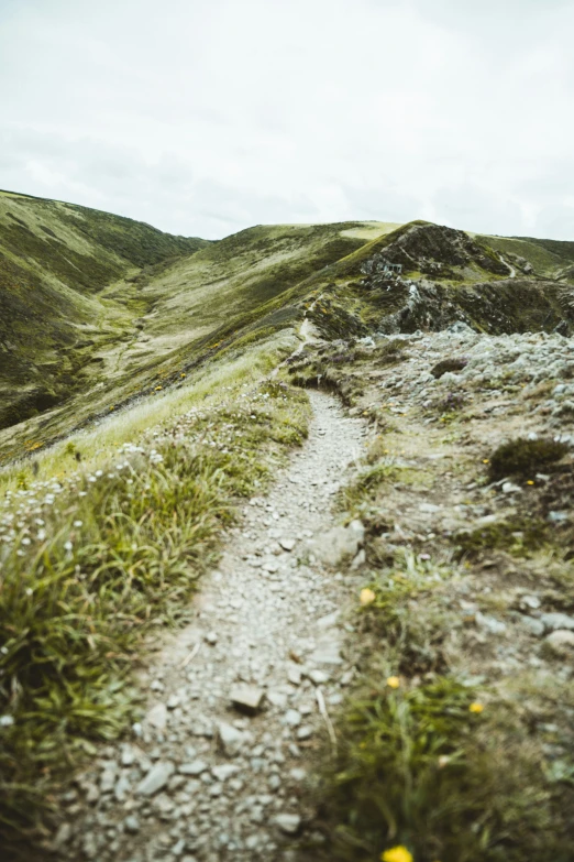 a dirt path on the side of a green mountain