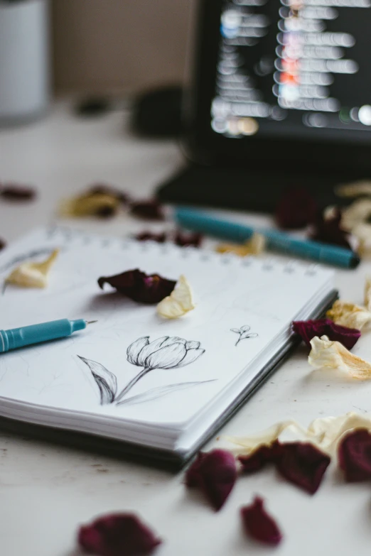 rose petals and a notebook on a table
