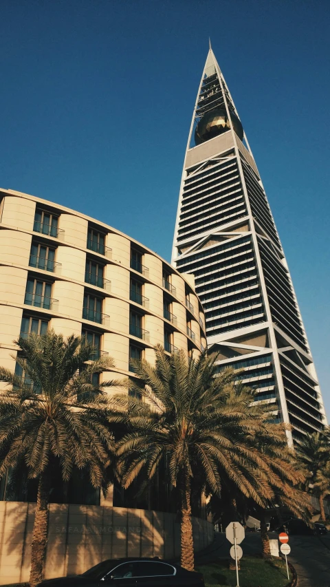 a very tall building near palm trees and a street