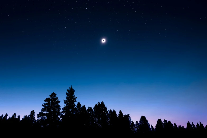 a moon and tree silhouetted against the night sky