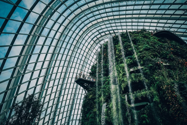 inside the dome of a building with lots of plants