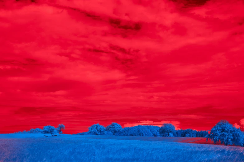 a blue, red and white po of trees and grass