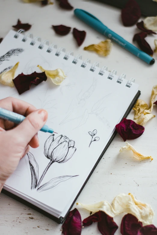 a woman writes notes in a journal on top of the floor of petals