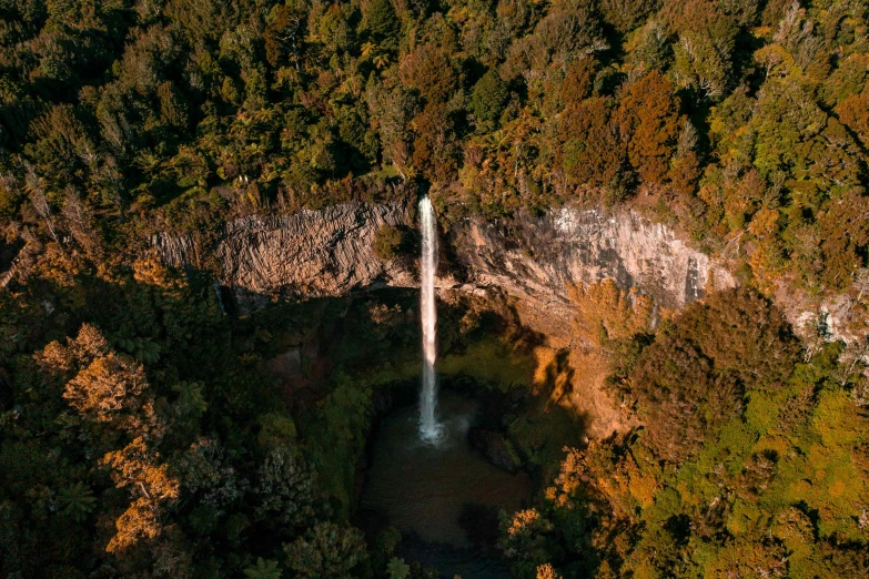 an aerial view shows the water of the waterfall in the middle of the forest