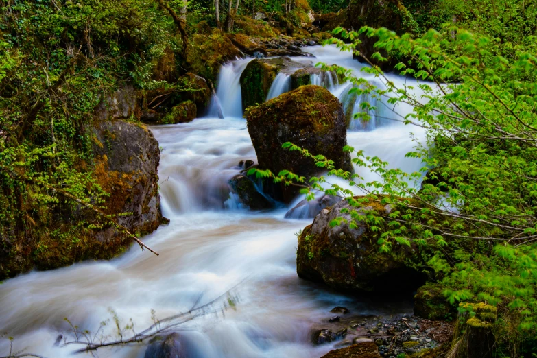 a small river running through some trees