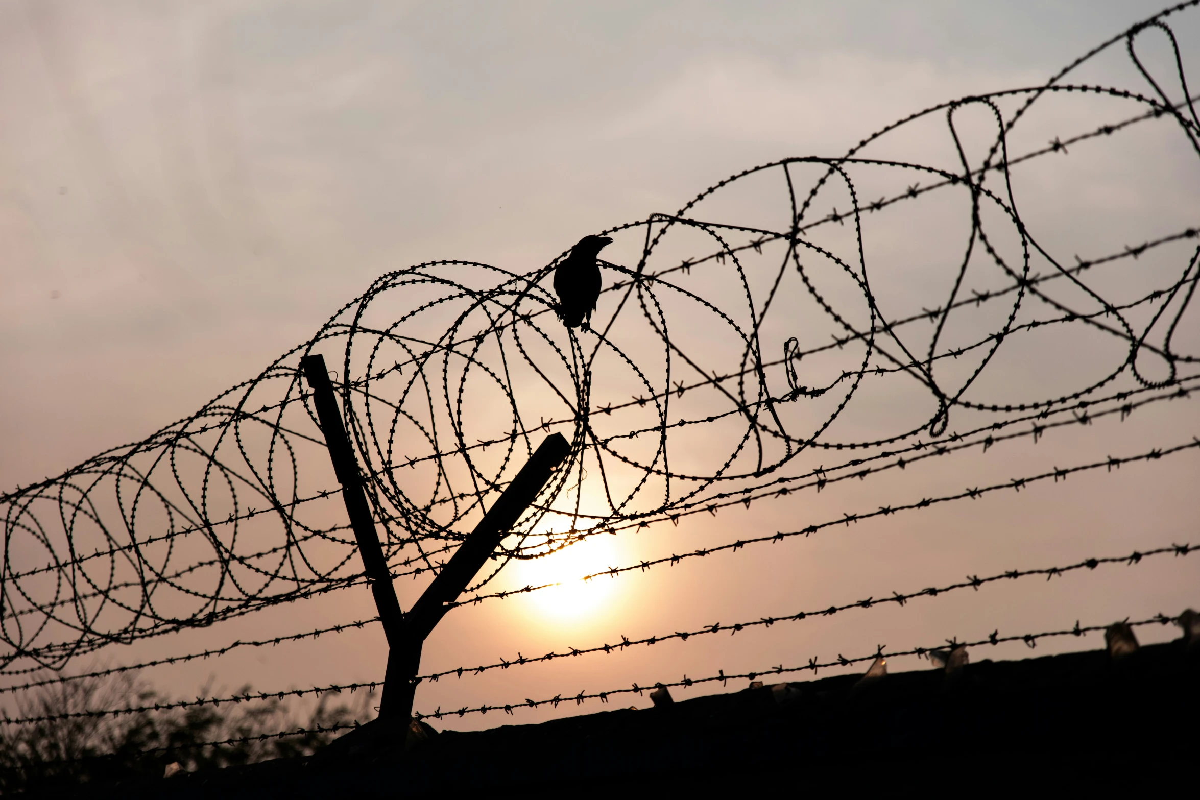 the sun is setting behind a wire fence