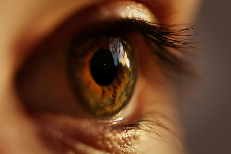 a close up of a persons left eye looking in to the camera