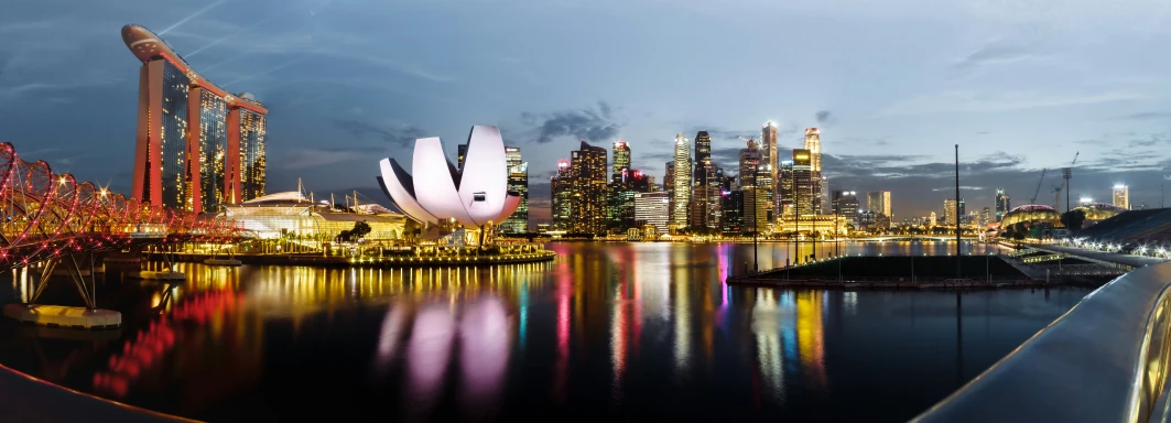 a po looking over a city skyline at night