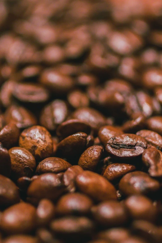 coffee beans being roasted and being served