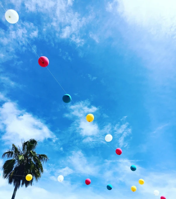 several colorful balloons in the sky with palm trees