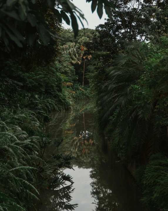 a boat on the water near many trees