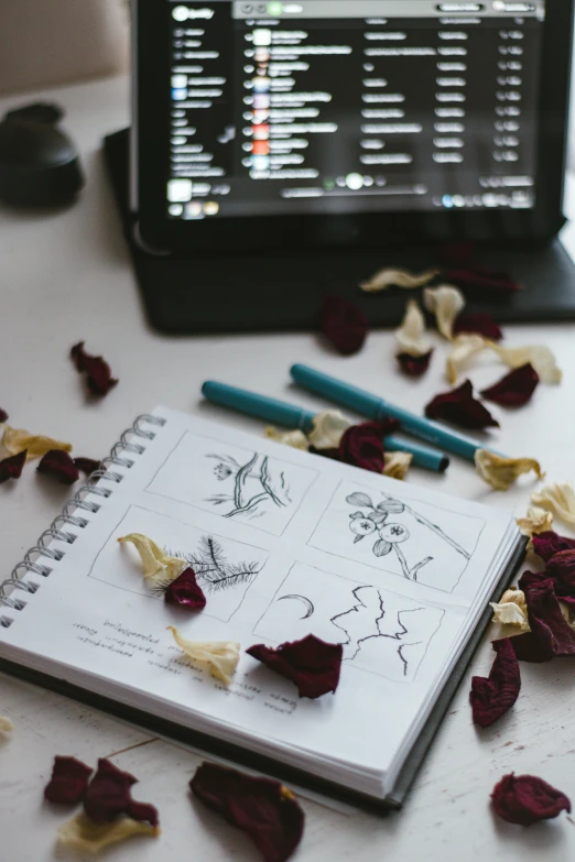 the spiral bound notebook is laying down with rose petals