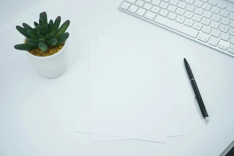 a plant and three blank papers next to a keyboard