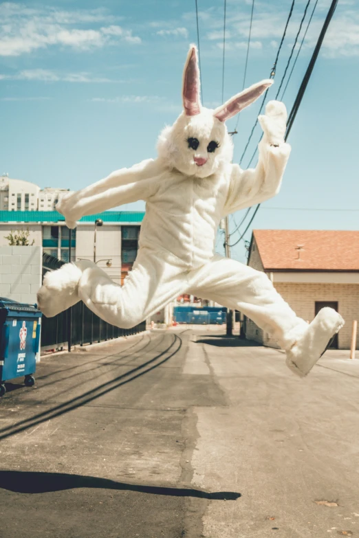 a bunny stuffed animal leaps in the air