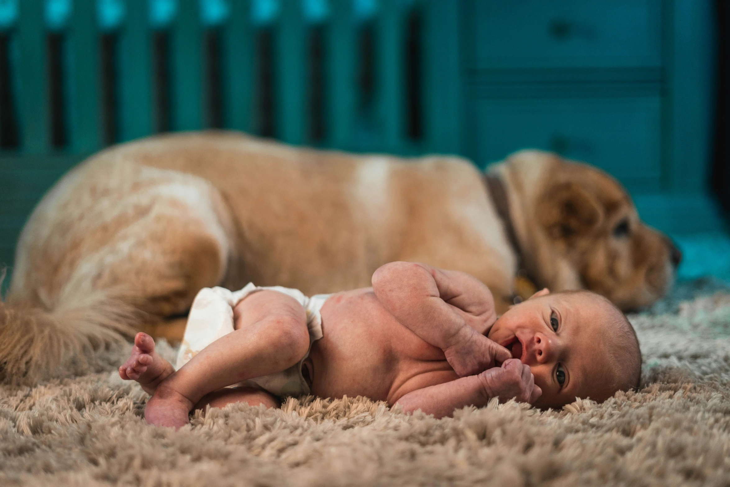 a close up of a baby laying on a bed