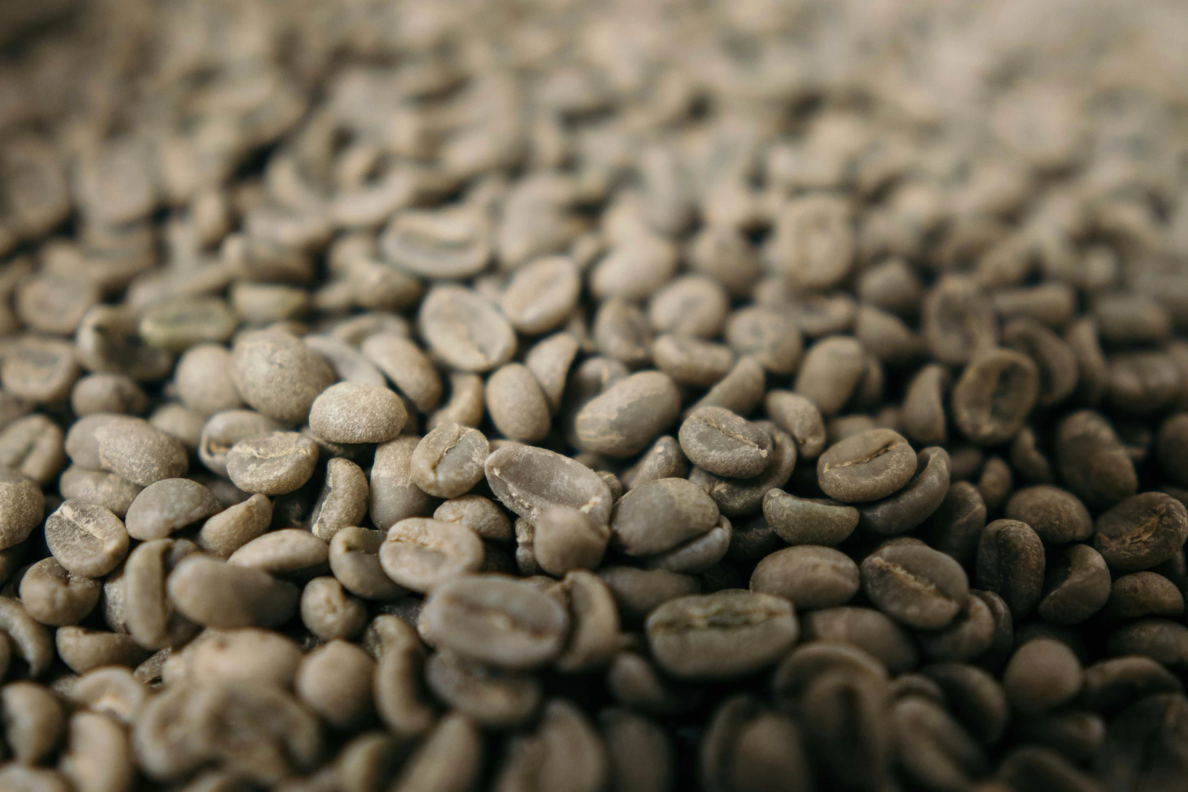 a pile of coffee beans with brown centers