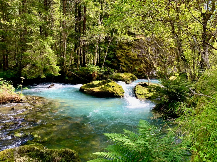 the stream is very beautiful and quiet with clear waters