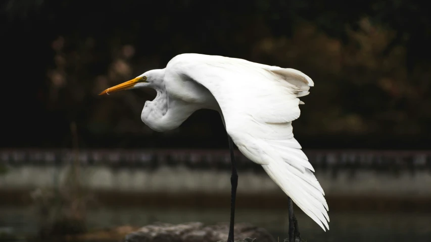 a white crane is standing on some concrete