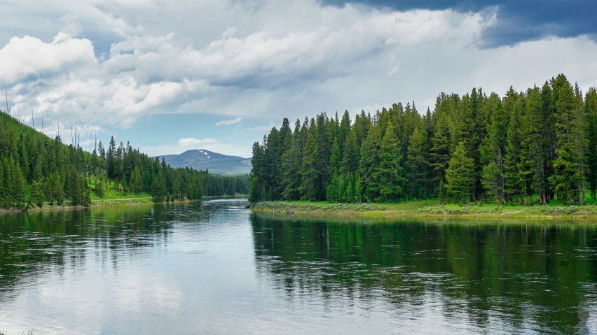 an unpaved river near a mountainous area with trees