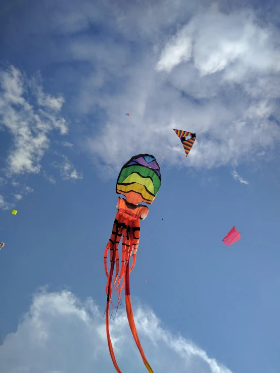 colorful kites fly in the sky at daytime