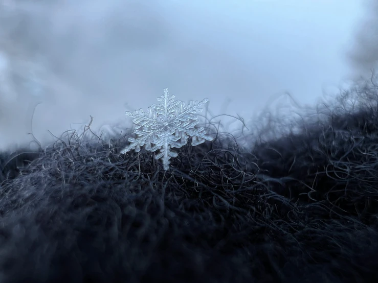 a snowflake is shown against a dark grey sky