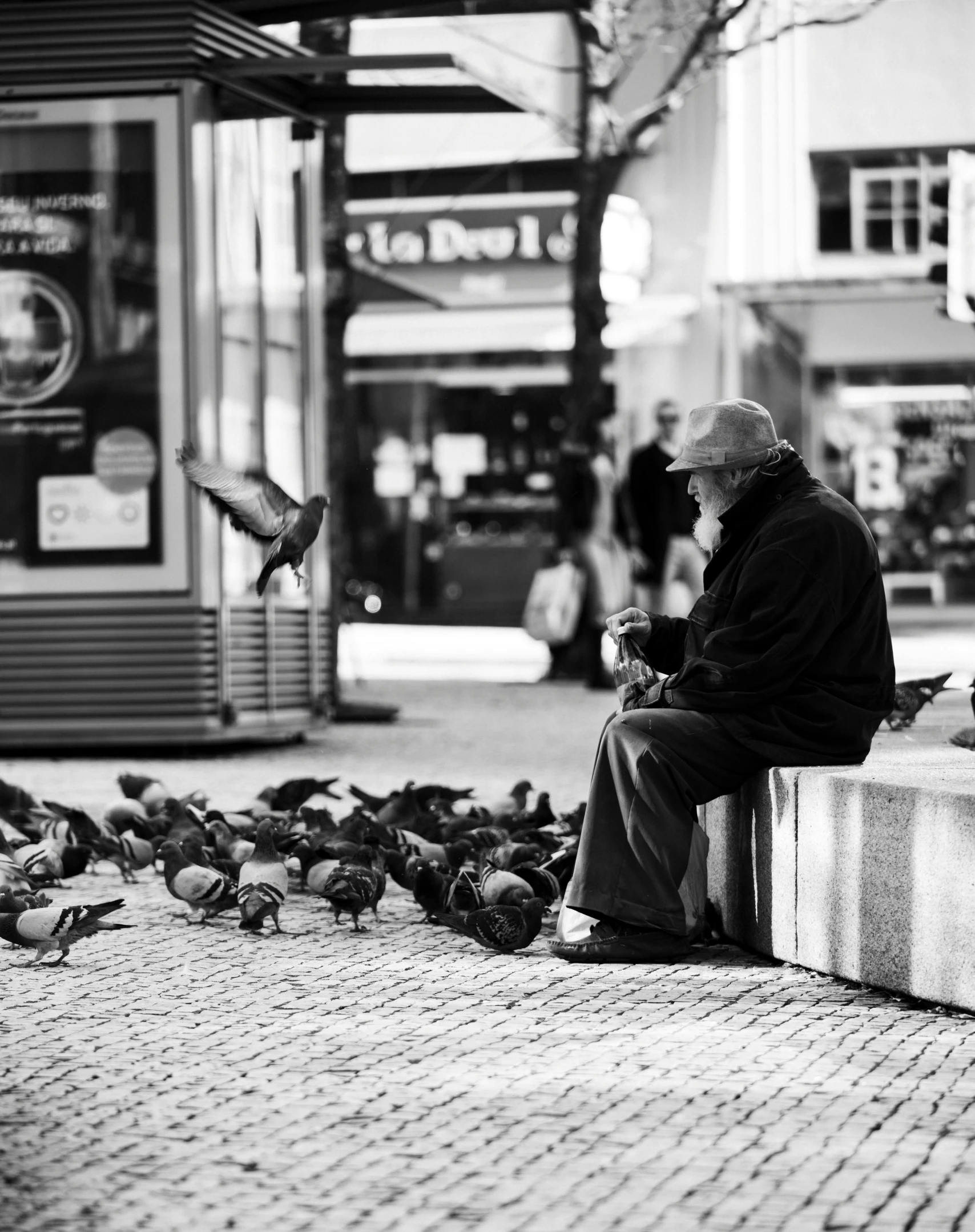 an old man sitting outside with pigeons around him