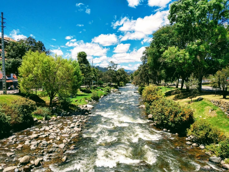 this is a river that is running through some trees