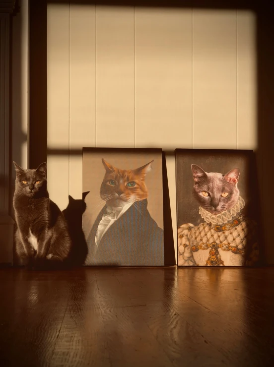 three paintings of cats on a wood floor near one another