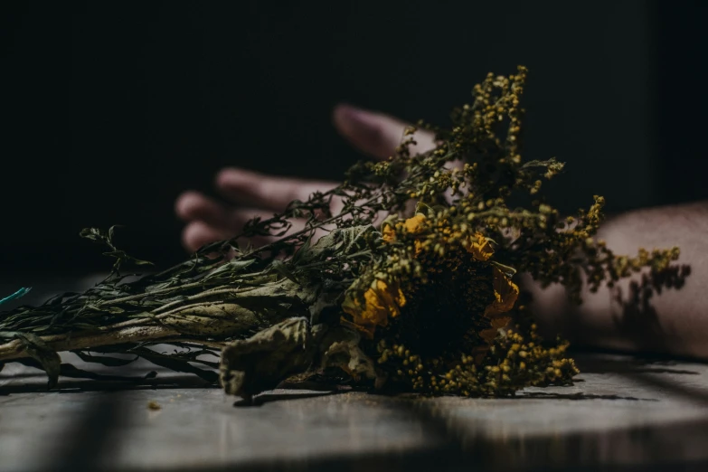 dead flowers lay on the floor and the person's hands are near it