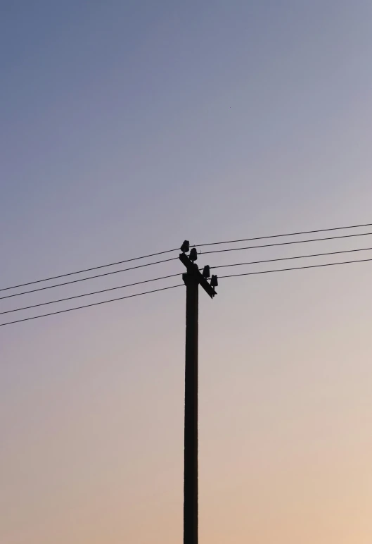 two small birds sitting on wires next to a light