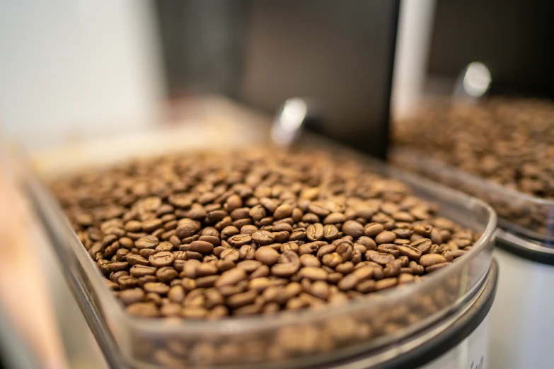 close up view of coffee beans and their flakes