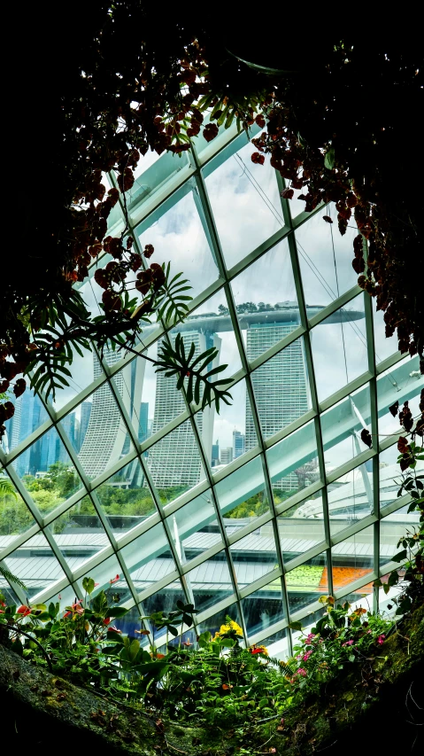 the large building has windows and a planter inside