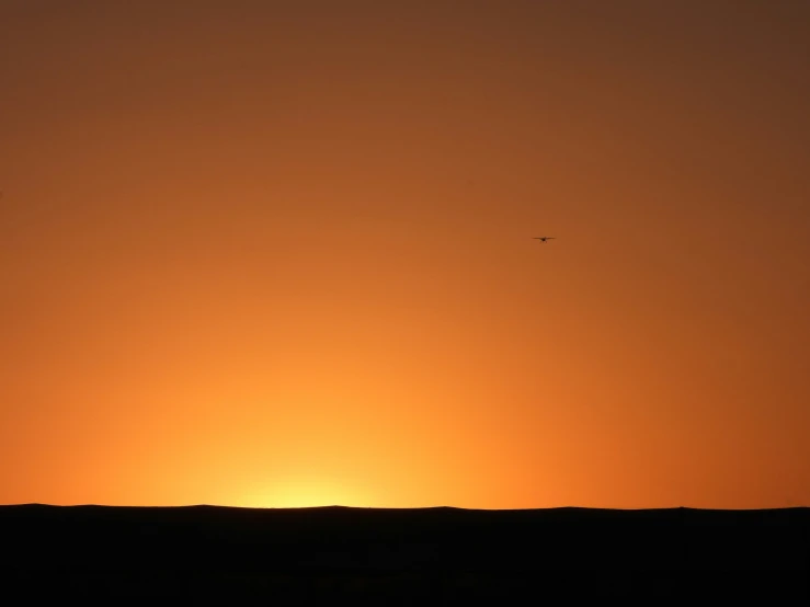 a bird flies over an empty field while the sun is setting