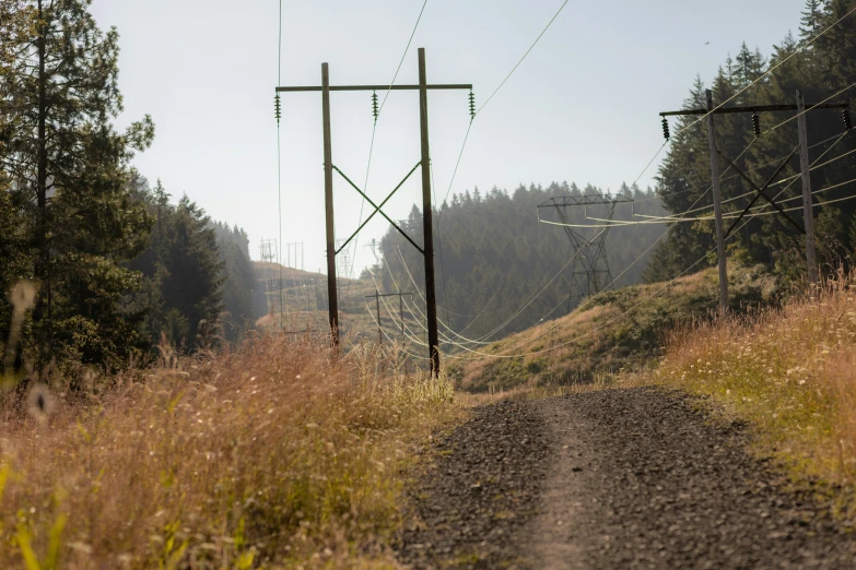 a dirt road winding into a field on the side of a hill