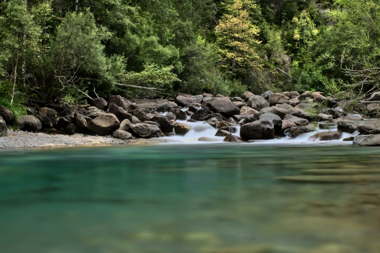 small stream flowing over rocks in a forested area