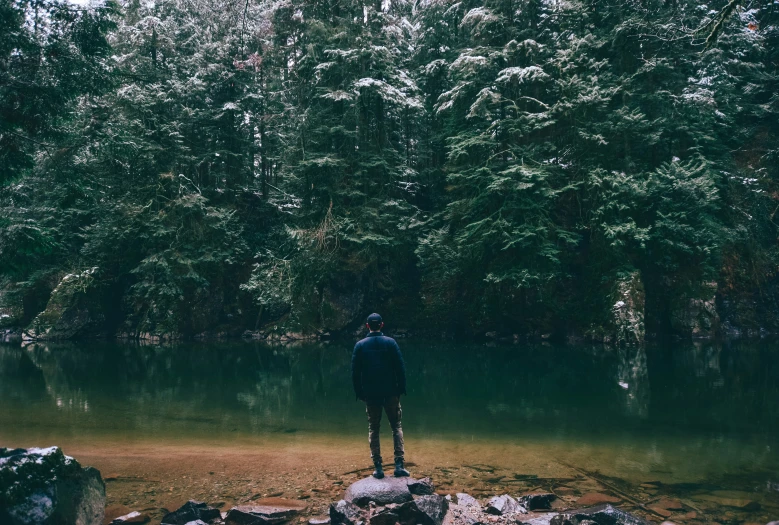 the man standing next to the water looks at the trees